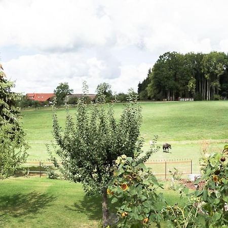 Naturidyl Schneckenbuch Weißensberg Esterno foto
