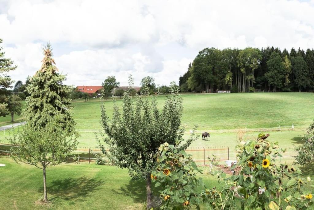 Naturidyl Schneckenbuch Weißensberg Esterno foto